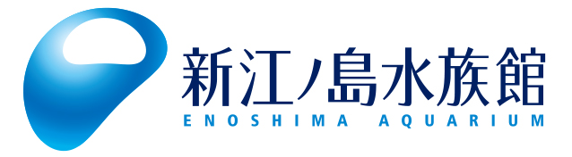 江の水